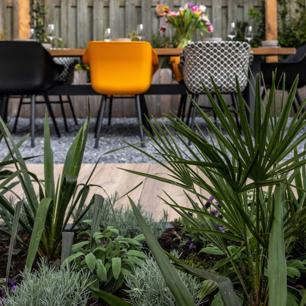 eigen huis en tuin lekker leven aflevering 54 zaandam